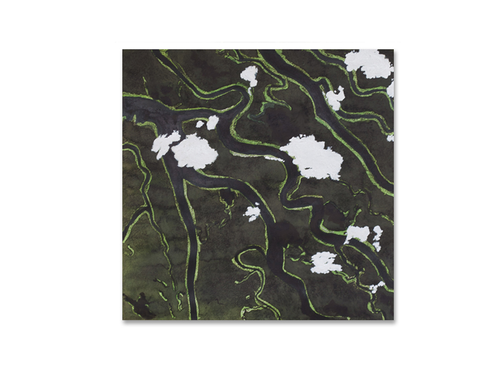 kongorivier 2