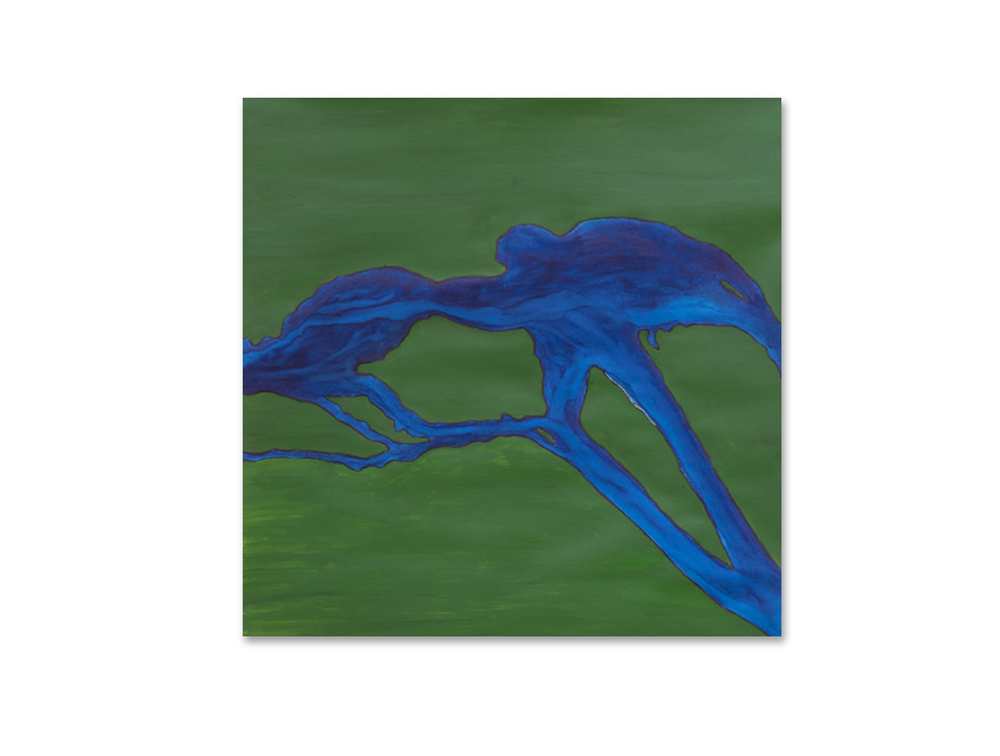kongorivier 3